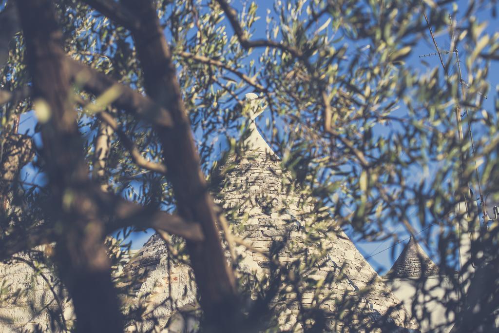 Residenze Nei Trulli Villa Alberobello Exterior photo